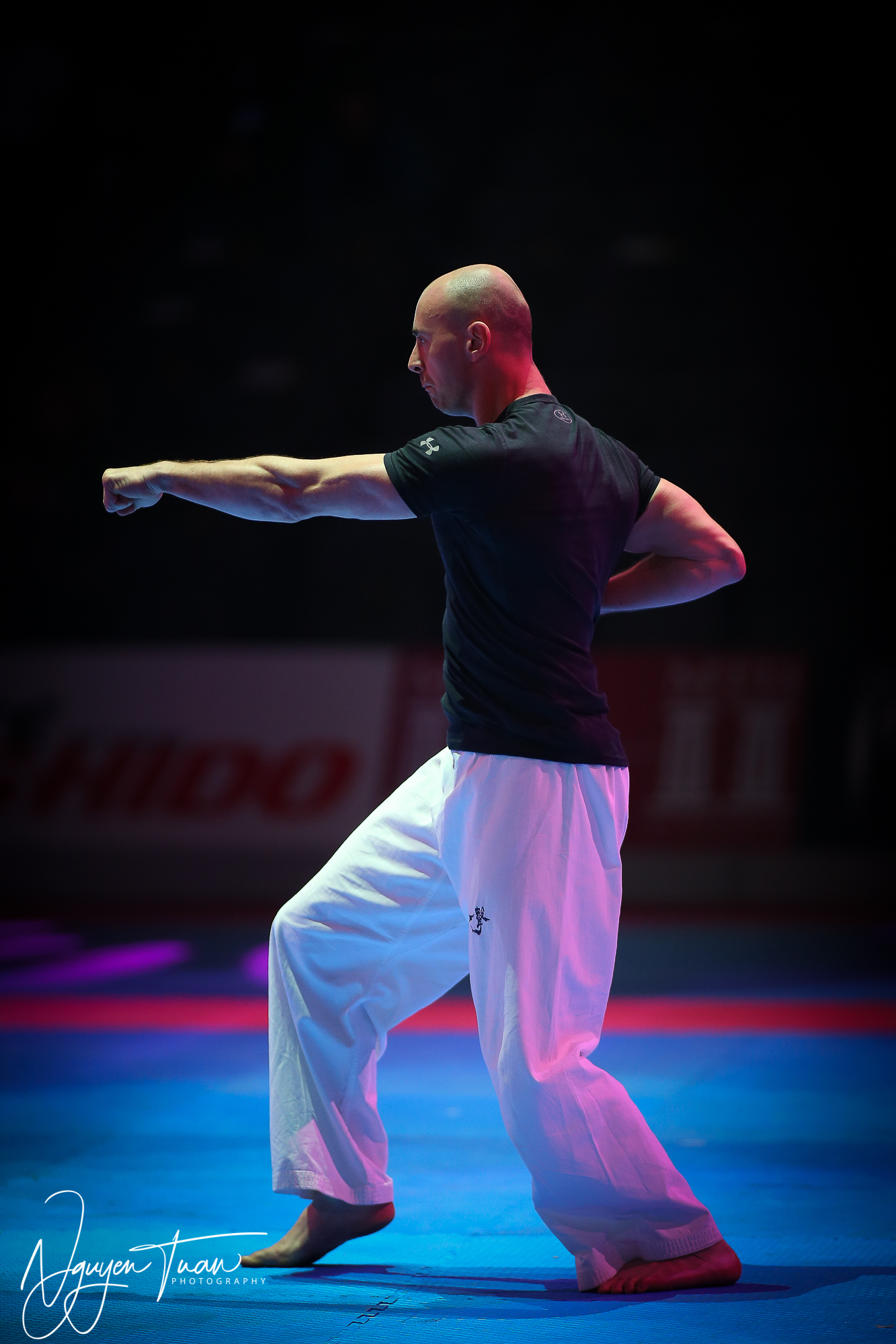 20190324 Festival des Arts Martiaux 0879